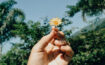 Understanding the Stages of Change in SUD Recovery
