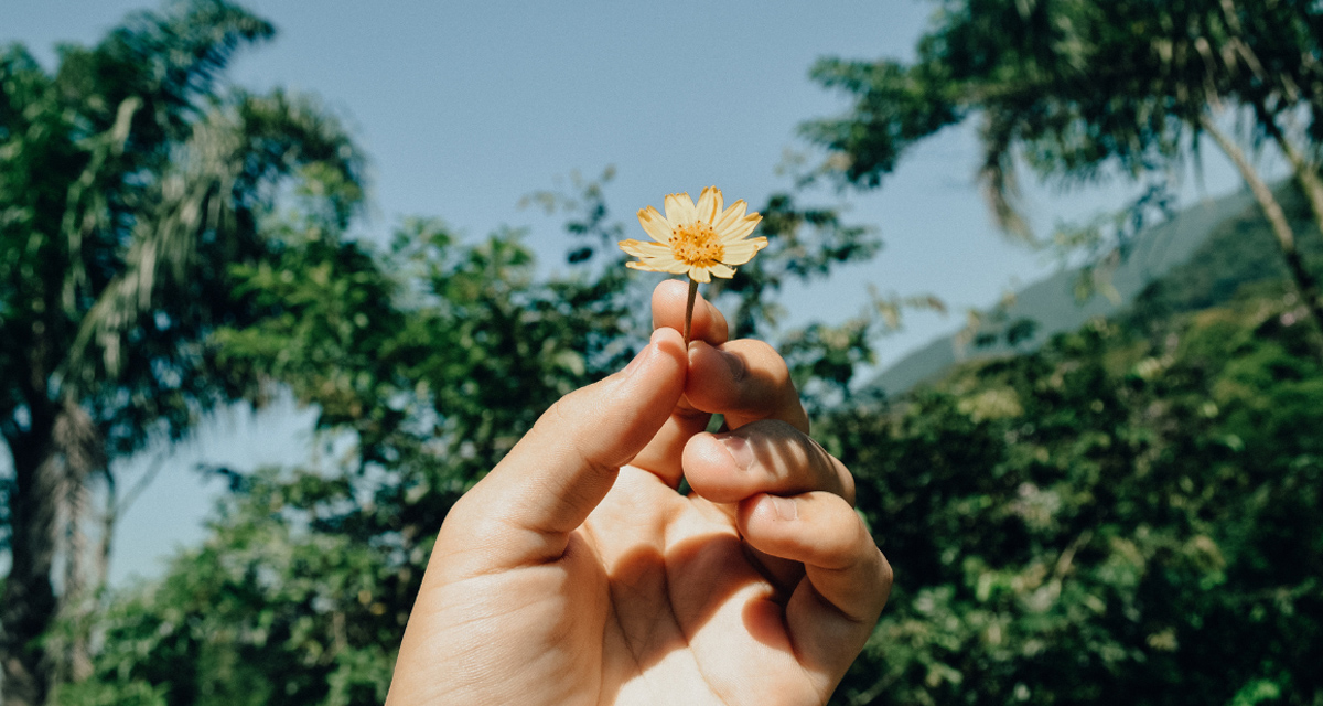 Understanding the Stages of Change in SUD Recovery