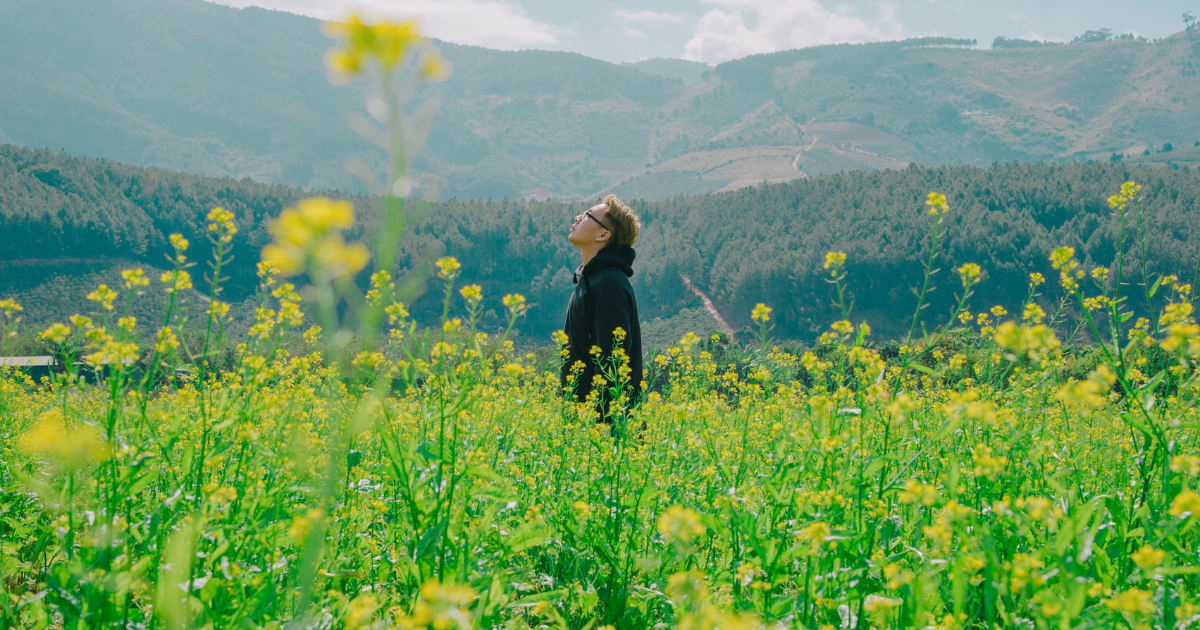 Addiction Recovery